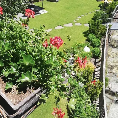 Hotel Oswald 4*